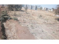 plot-for-sale-in-meanwood-mutimbi-phase-four-small-0