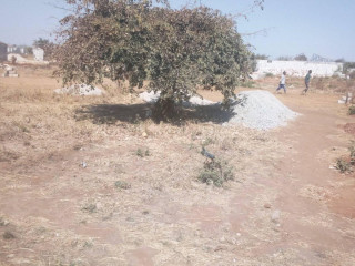 plot-for-sale-in-meanwood-mutimbi-phase-four