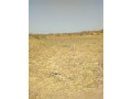 2-hectors-of-land-for-sale-small-1