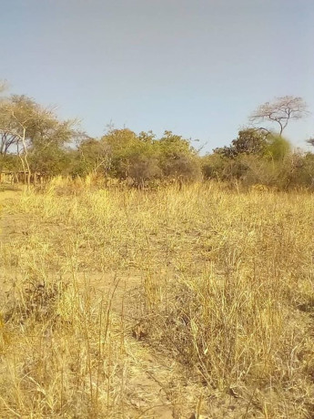 2-hectors-of-land-for-sale-big-0