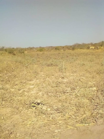 2-hectors-of-land-for-sale-big-1