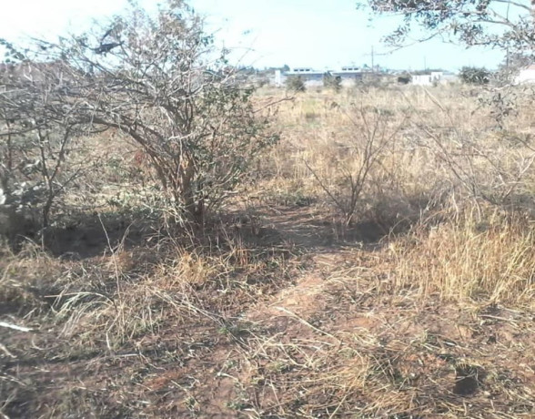 9-plots-for-sale-in-chestone-obama-big-2