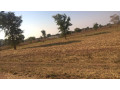 5-acres-land-for-sale-near-leopard-hills-road-small-0