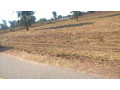 5-acres-land-for-sale-near-leopard-hills-road-small-1
