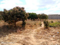 plain-land-for-sale-in-zanimuone-west-lusaka-small-2