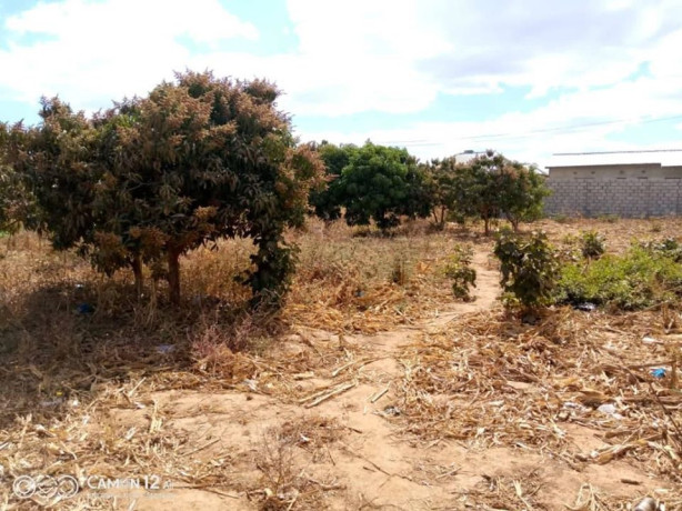 plain-land-for-sale-in-zanimuone-west-lusaka-big-2