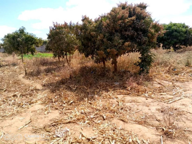 plain-land-for-sale-in-zanimuone-west-lusaka-big-0