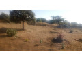 plot-for-sale-in-chongwe-small-3