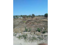 plot-for-sale-in-chongwe-small-1
