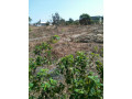 plot-for-sale-in-chongwe-small-2