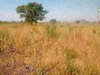 10-acres-land-for-sale-in-lusaka-west