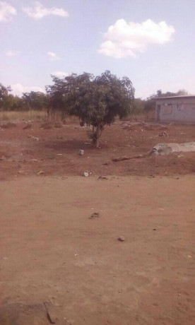 quick-sale-plot-in-libala-south-near-american-people-big-1