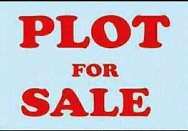 quick-sale-plot-in-libala-south-near-american-people-big-2