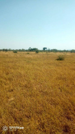 residential-plots-in-mwembeshi-namayani-area-big-0