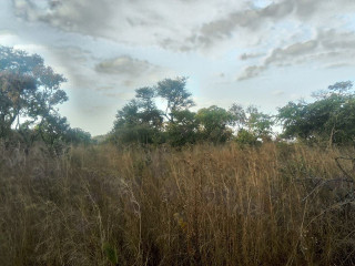 beautiful-plot-for-sale-in-prime-area