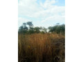 palabana-one-acre-plots-small-0