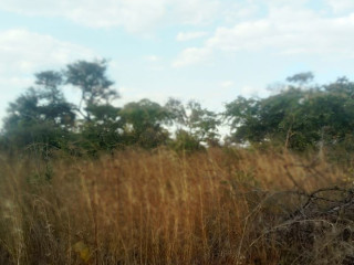 palabana-one-acre-plots