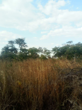 palabana-one-acre-plots-big-0