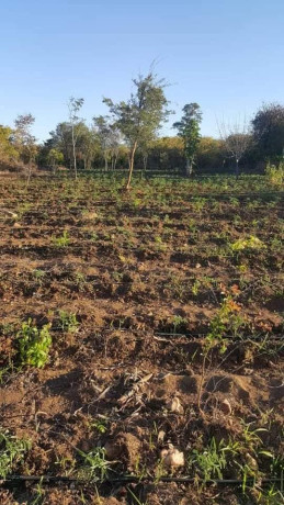 silverest-plot-with-great-east-road-access-big-0