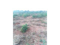 residential-plots-for-sale-in-libala-south-small-0