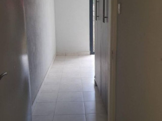 ibex-rent-near-twin-palm-mall