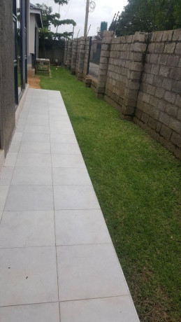 ibex-rent-near-twin-palm-mall-big-1