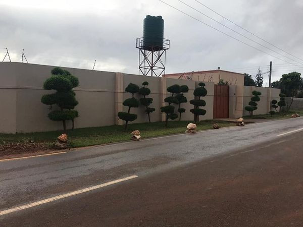 executive-two-bedroom-flat-for-rent-in-woodland-chalala-big-5