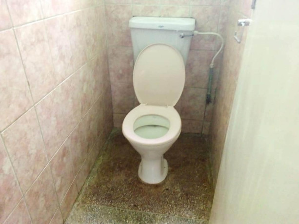 2-bedroom-flat-in-chelston-big-1