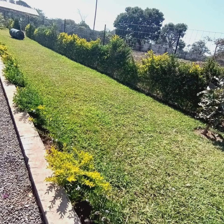 new-kasama-3-bedroom-semi-detached-house-for-rent-big-2