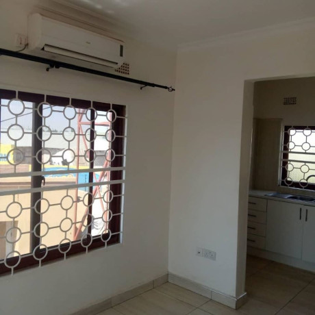executive-1-bedroomed-flat-for-rent-off-ringroad-near-water-workslibala-south-big-3