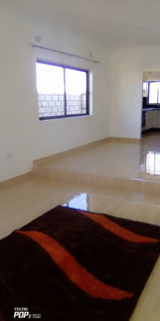 spacious-apartments-for-rent-big-7