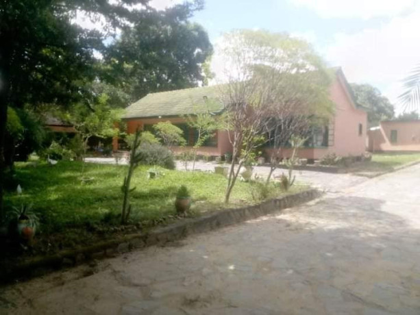 2-bedroom-standalone-house-with-cottage-in-northmead-big-3