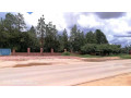 road-frontage-land-for-sale-small-5
