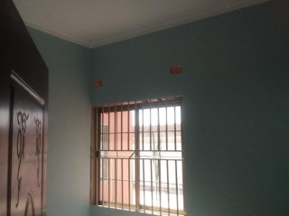 extravagant-mansion-in-prime-area