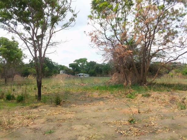 4-hectares-farmland-for-sale-along-luanshya-road-big-1