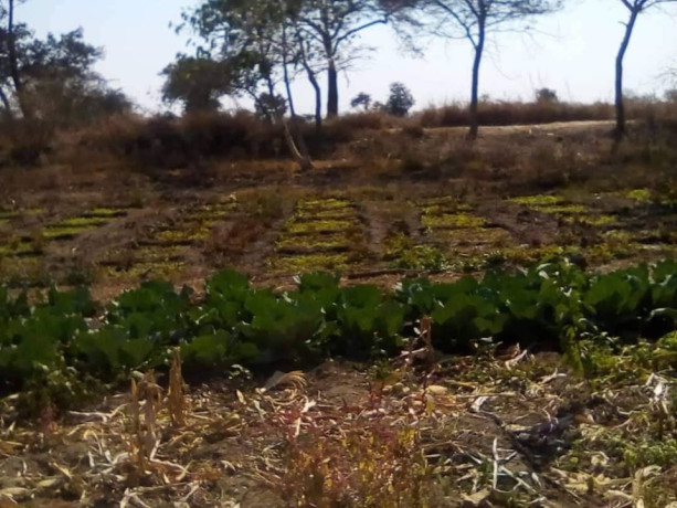 quick-sale-or-swap-in-ngwerere-area-big-1