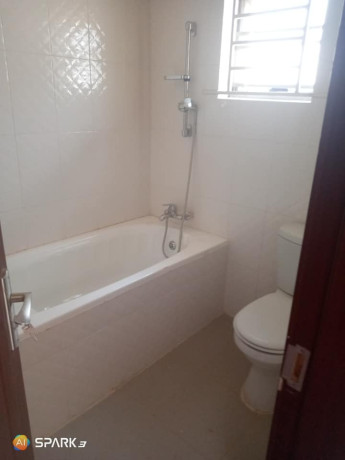 beautiful-3-bedroom-house-for-rent-in-libala-south-big-3
