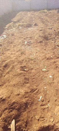 plot-for-sale-in-nyumba-yanga-big-1