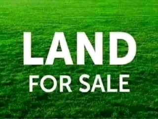 plots-for-sale-in-new-kasama-and-chalala
