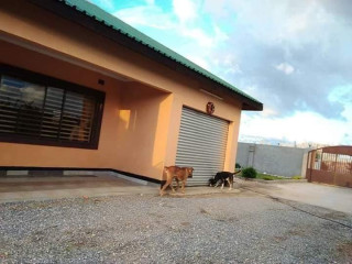 executive-flats-for-sale-in-chalala