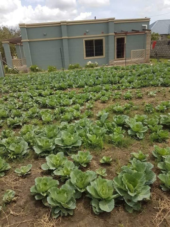 2-bedroom-house-for-sale-in-obama-chelstone-extension-big-7