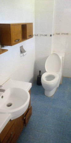 spacious-3-bedroom-duplex-flat-in-avondale-big-1