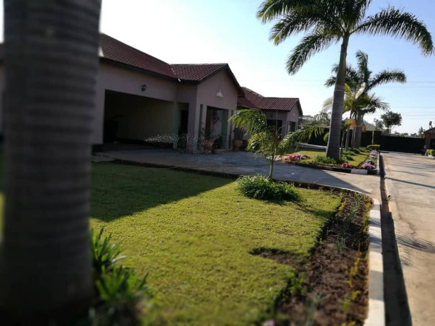 spacious-3-bedroom-house-in-ibex-hill-big-4