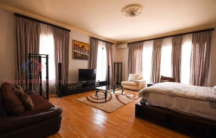 executive-four-4bed-fully-furnished-family-home-in-olympia-park-big-2