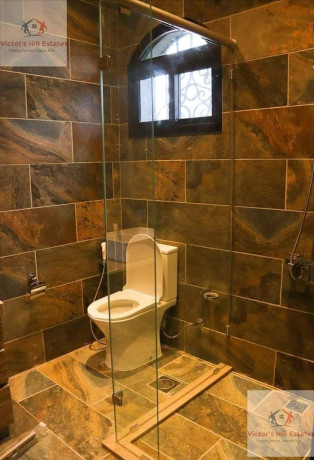 luxury-3-bedroom-home-in-olympia-big-2