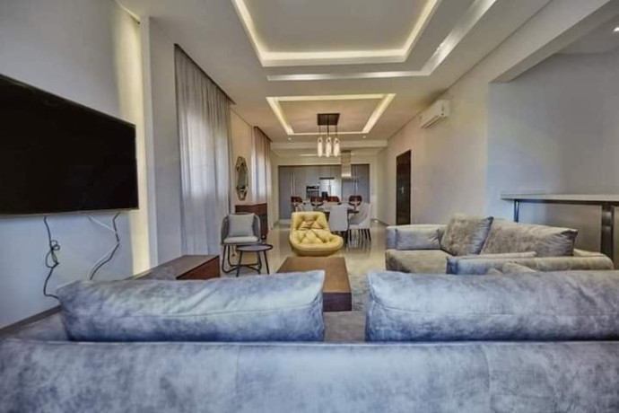 executive-fully-furnished-apartments-in-roma-park-big-6