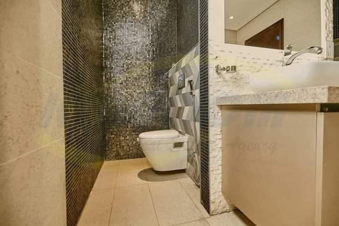 executive-fully-furnished-apartments-in-roma-park-big-1