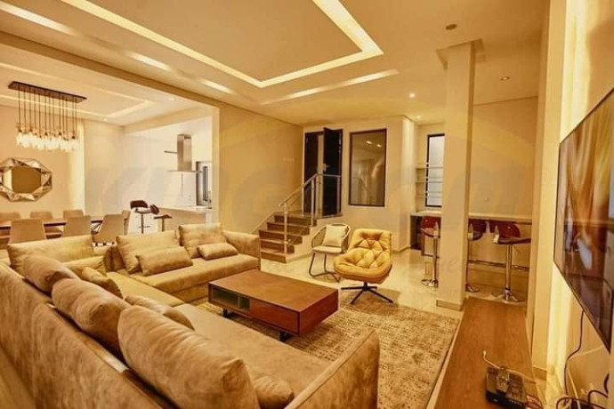 executive-fully-furnished-apartments-in-roma-park-big-8