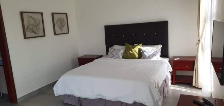 executive-three-bedroomed-fully-furnished-apartment-in-roma-park-big-2