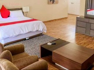 eureka-park-executive-4-bed-fully-furnished-villa